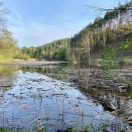 Дом отдыха Kokorinsko Mseno