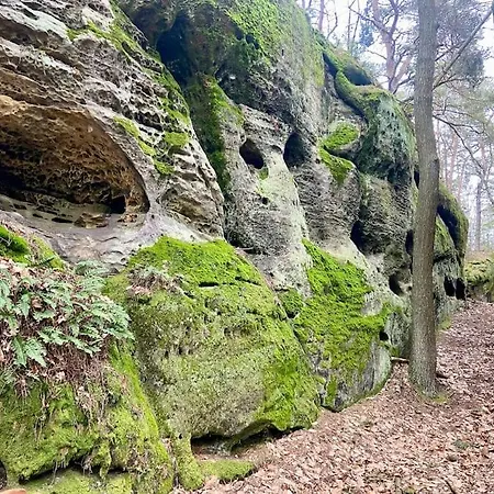 Ferienhaus Kokorinsko Mseno