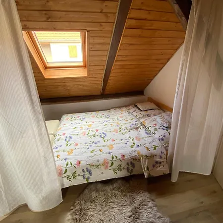 Kokorinsko Holiday home